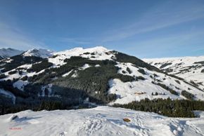 Detaillierte Infos zur Unterkunft Almliesl SAAB-492