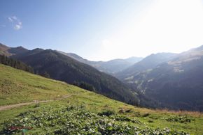 Detaillierte Infos zur Unterkunft Almliesl SAAB-492