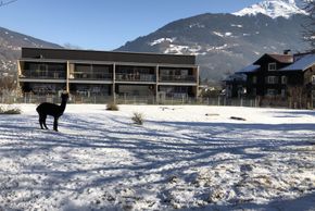 Detaillierte Infos zur Unterkunft AlpenApart Montafon - Appartement Sennerei