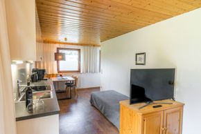 Detaillierte Infos zur Unterkunft AlpenApart Montafon - Haus Engstler