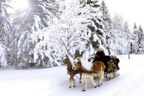 Tirol bei Pferdeschlittenfahrten erleben