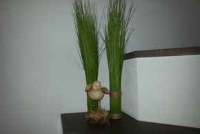 Detaillierte Infos zur Unterkunft Apart-Haus Kofler