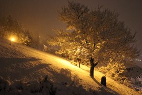 Detaillierte Infos zur Unterkunft Apartment Orchidee