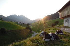 Detaillierte Infos zur Unterkunft Apartement Wiemhof