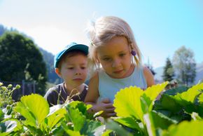 Detaillierte Infos zur Unterkunft Aparthotel Steger
