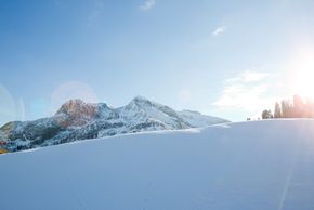 Detaillierte Infos zur Unterkunft berg:doktr appartements