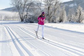 Detaillierte Infos zur Unterkunft Appartement Wildkogel