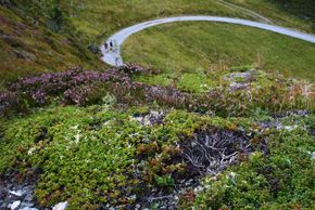 Detaillierte Infos zur Unterkunft Appartement Hollaus