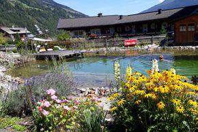 Detaillierte Infos zur Unterkunft Appartements Theresa