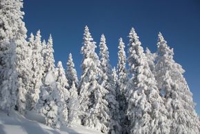 Detaillierte Infos zur Unterkunft Apparthotel Ferienhaus Bliem