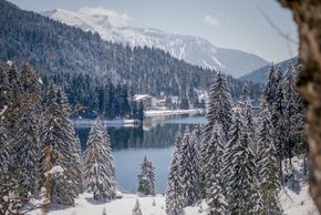 Detaillierte Infos zur Unterkunft Arabella Alpenhotel am Spitzingsee