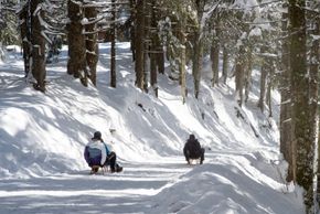 Detaillierte Infos zur Unterkunft Arabella Alpenhotel am Spitzingsee