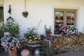 Detaillierte Infos zur Unterkunft Auerhof