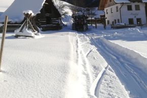 Detaillierte Infos zur Unterkunft Auerhof