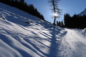 Rodelbahn Bischoferalm, 5 Gehminuten entfernt