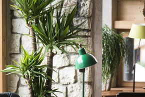 Detaillierte Infos zur Unterkunft Berghotel Sexten