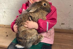 Detaillierte Infos zur Unterkunft Berghotel Presslauer