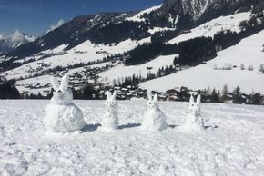 Detaillierte Infos zur Unterkunft Bergwald Appartements Alpbach