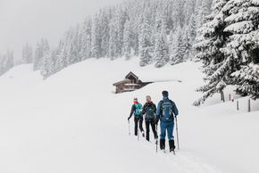 Detaillierte Infos zur Unterkunft Biohotel Rupertus