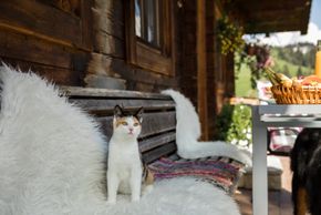 Detaillierte Infos zur Unterkunft Chalet Naturblick am ZwisleggGut