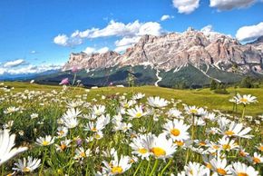 Detaillierte Infos zur Unterkunft Brunella