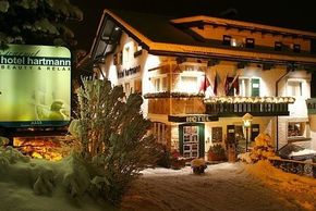 Chalet Hotel Hartmann