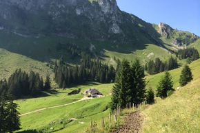 Detaillierte Infos zur Unterkunft Chalet Spicher