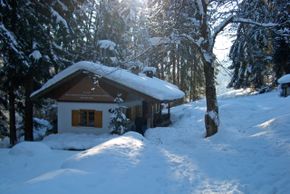 Chalet Waldwinkl