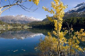 Detaillierte Infos zur Unterkunft Chesa Derby App. 3