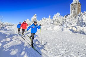 Detaillierte Infos zur Unterkunft Elldus Resort Family & Spa