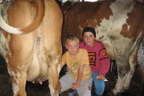 Urlaub auf dem Bauernhof