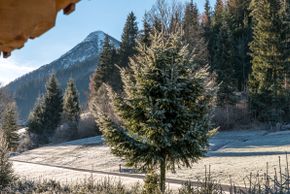 Aublick hinter dem Haus auf den Lackenkogel
