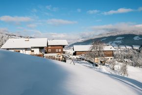 Detaillierte Infos zur Unterkunft Familienbauernhof Göttfriedbauer
