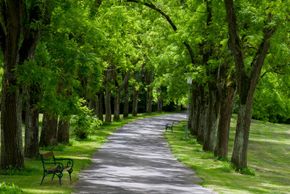 Kurpark Bad Gleichenberg