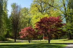 Kurpark Bad Gleichenberg