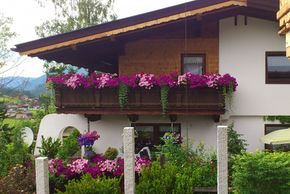 Detaillierte Infos zur Unterkunft Ferienwohnung Alexander