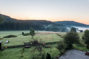 Hundewiese; Bärenhof