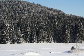 Bärenhof, Ausblick, Urlaubsresort für Herr und Hund