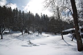 Ausblick Bärenhof, Urlaubsresort für Herr und Hund,
