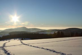 Detaillierte Infos zur Unterkunft Ferienwohnung Bergahorn