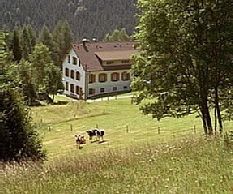 Sommeransicht vom Wanderweg aus