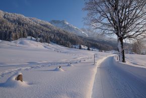 Winterlandschaft