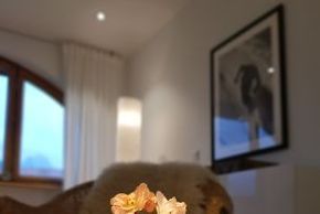 Detaillierte Infos zur Unterkunft Ferienwohnung im Blauen Haus