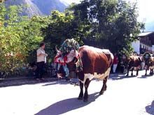 Detaillierte Infos zur Unterkunft Ferienwohnung Lachmayer