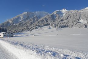 Detaillierte Infos zur Unterkunft Ferienwohnung Schreieck