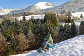 Detaillierte Infos zur Unterkunft Ferienwohnungen Am Hof