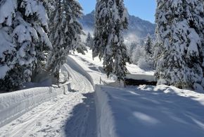 Detaillierte Infos zur Unterkunft Ferienwohnungen Am Hof