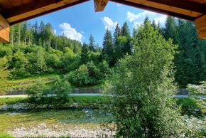Blick ins Grüne vom Balkon aus