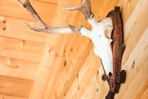 Detaillierte Infos zur Unterkunft Ferienhaus Chalet Schlossblick