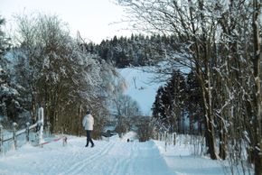 Genießen Sie die Winterlandschaft bei ausgedehnten Wanderungen auf dem Winterwanderwegen oder auch im gut gespurten Loipennetz